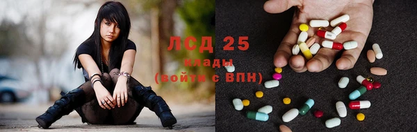 мдпв Елабуга