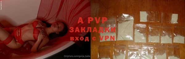 мдпв Елабуга