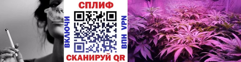 Купить закладки  Можга  Шишки марихуана White Widow 